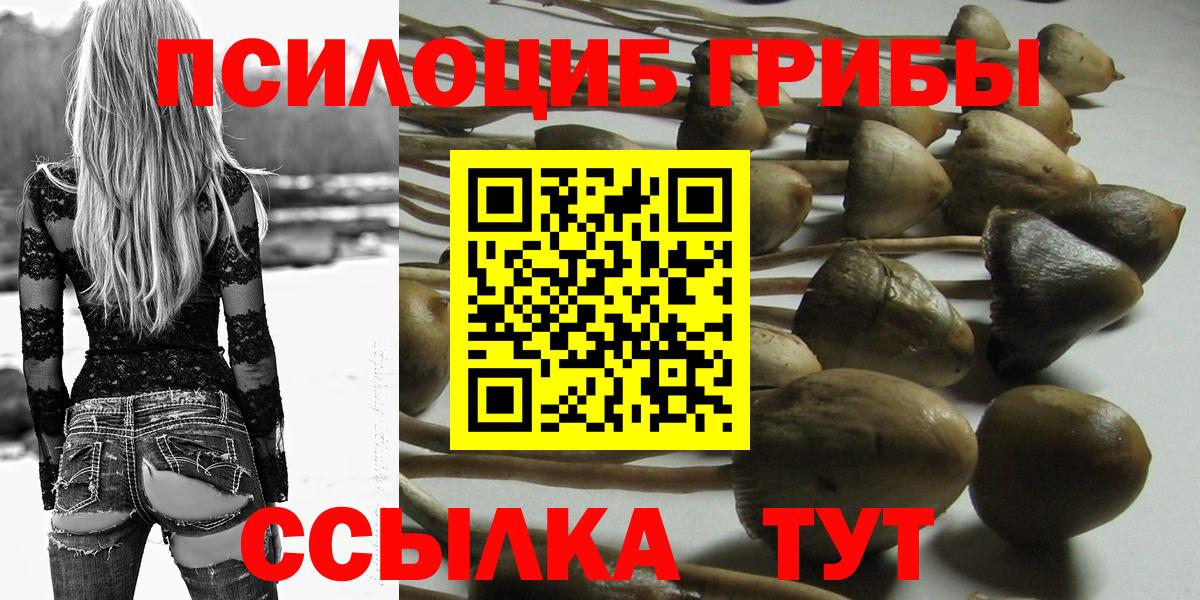 Псилоцибиновые грибы мухоморы Кудымкар