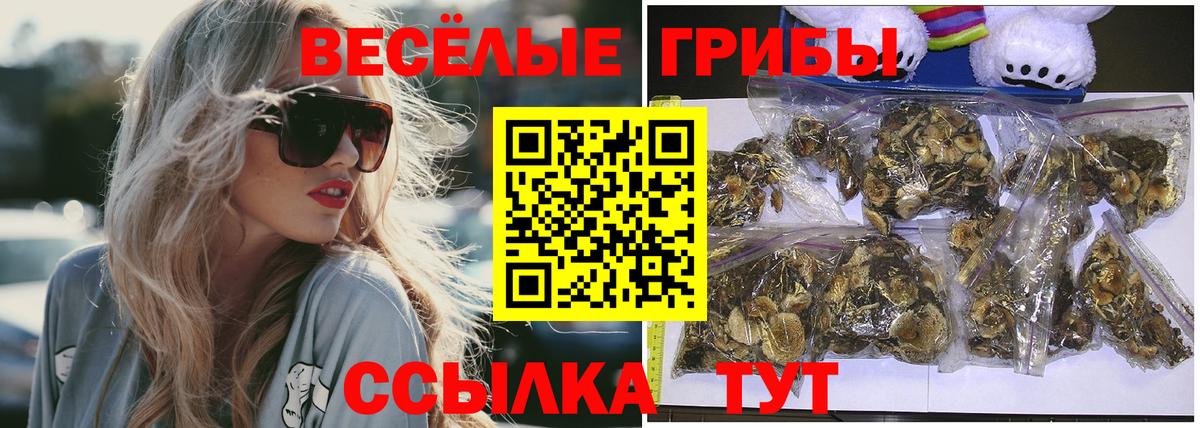 Псилоцибиновые грибы Magic Shrooms  Вход с VPN  Кудымкар 