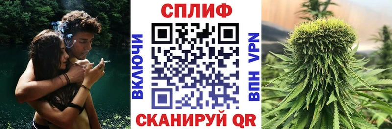 Шишки марихуана семена  Кудымкар 
